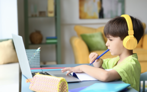 developing thinking skills online teaching and learning